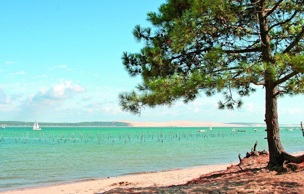 VVF Villages   Le Cap Ferret   Lège Esterno foto